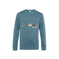 Sky Plus Pusa Nordic Blue Kichi